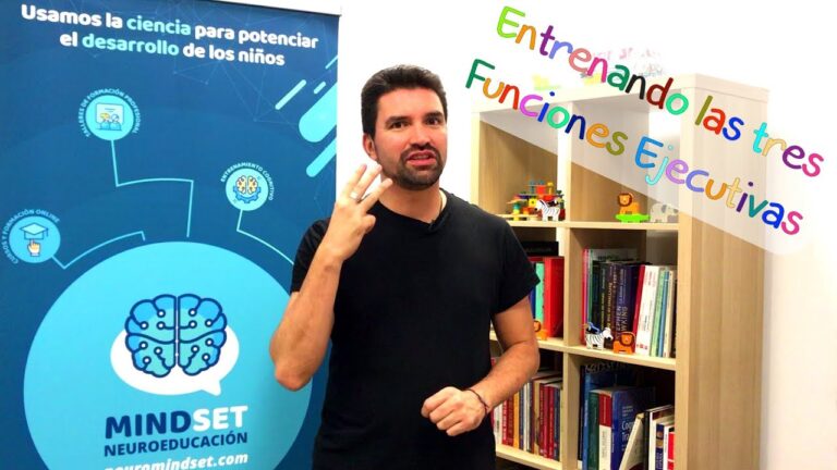 actividades para trabajar funciones ejecutivas en niños pdf