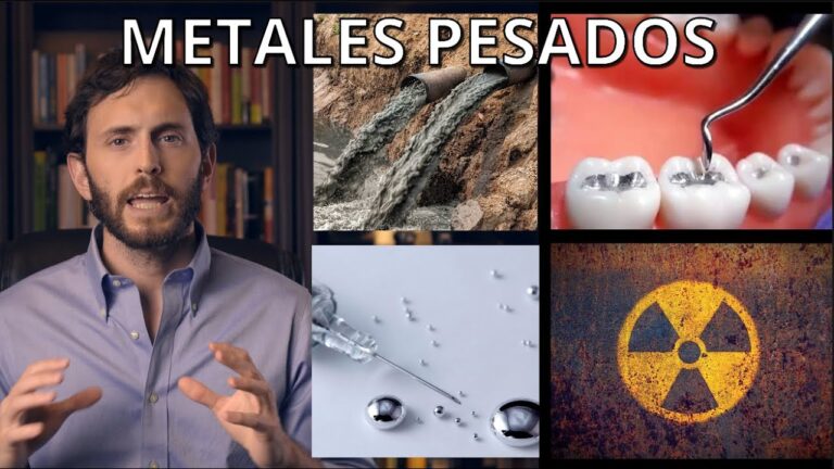 analitica de metales pesados en sangre
