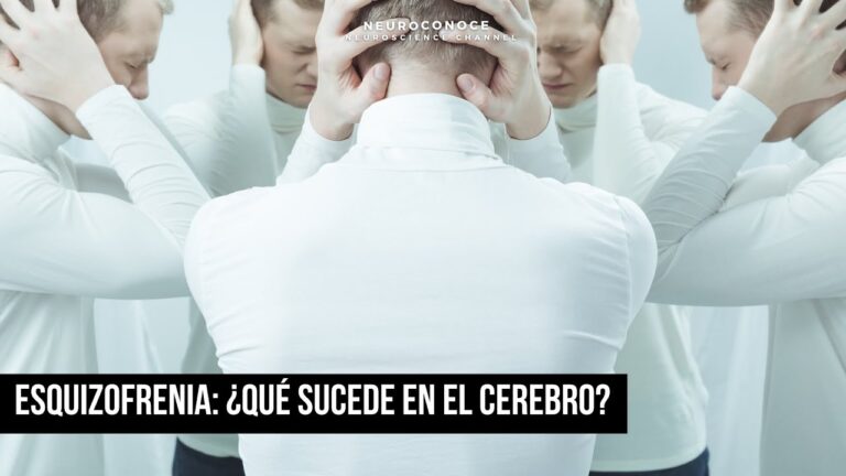 areas del cerebro afectadas por la esquizofrenia