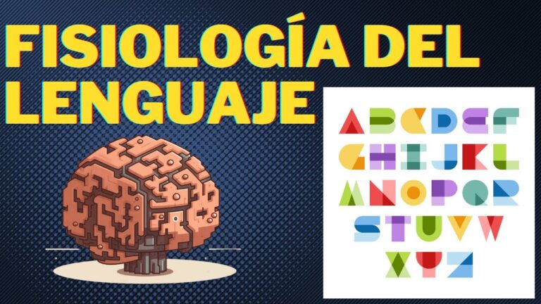 bases anatomicas y funcionales del lenguaje