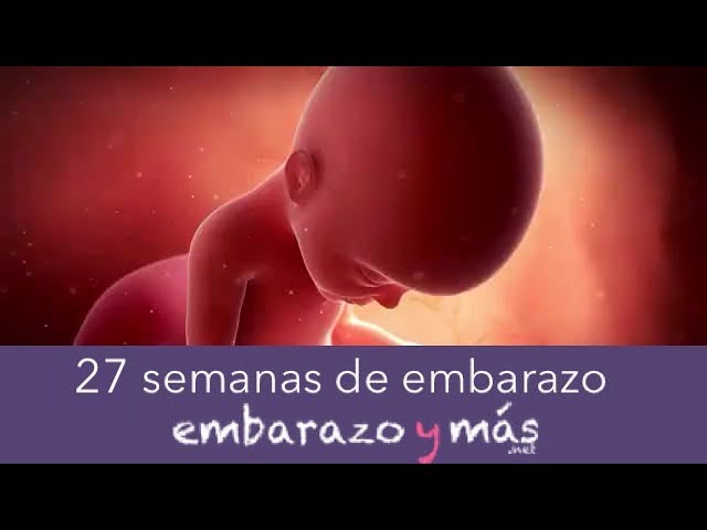 bebes de 27 semanas de embarazo