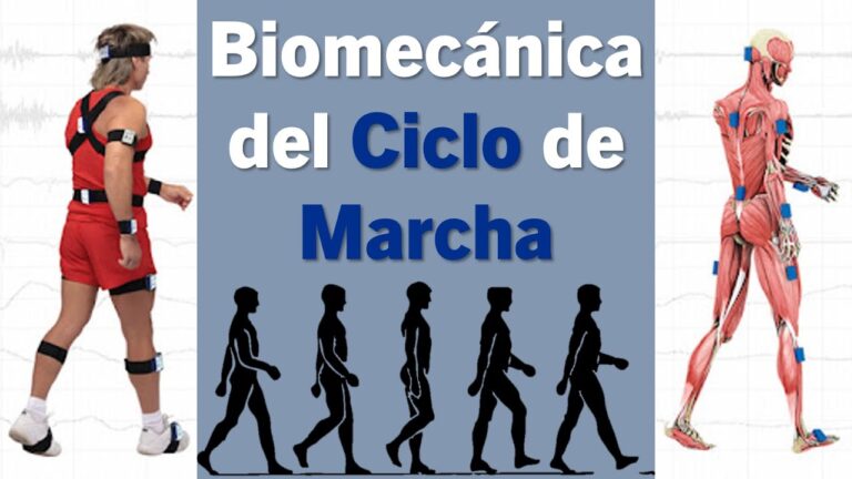 biomecanica de la marcha humana pdf
