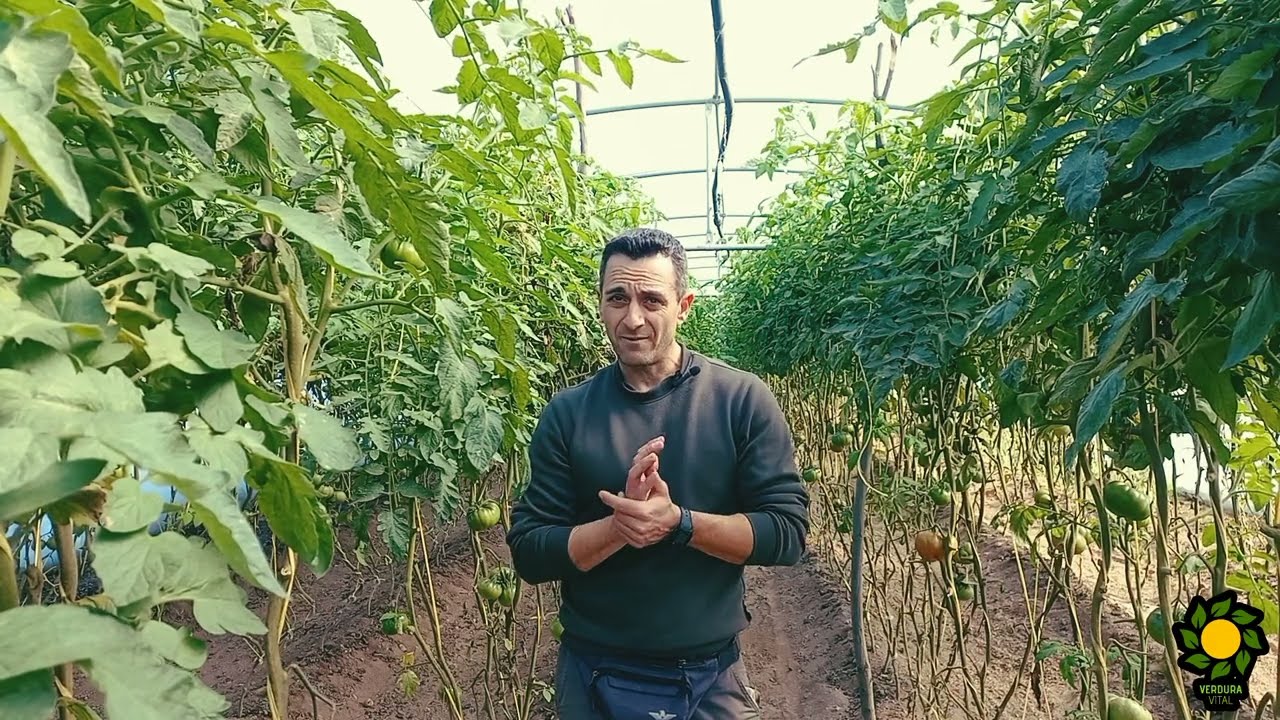 butoxido de piperonilo en agricultura ecologica