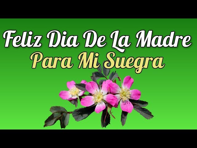 carta del dia de la madre para mi suegra