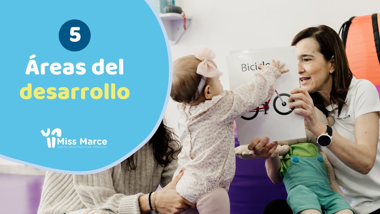 centro de estimulacion y desarrollo infantil