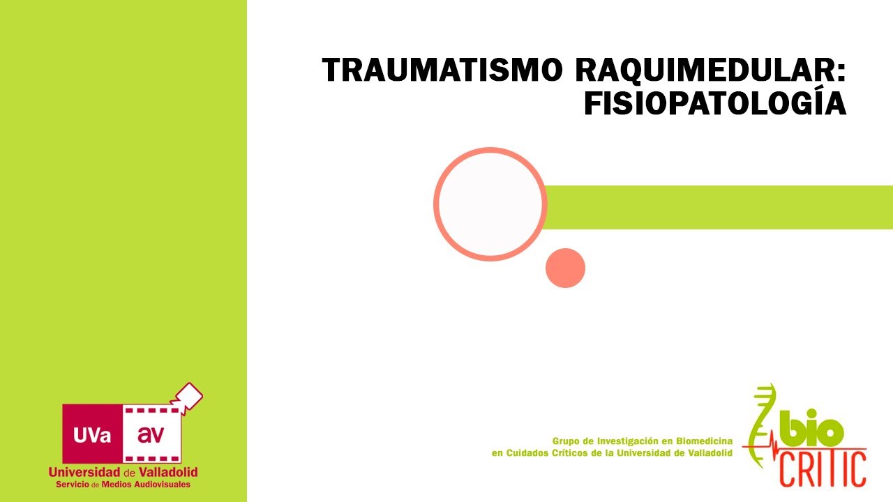 clasificacion de asia trauma raquimedular pdf