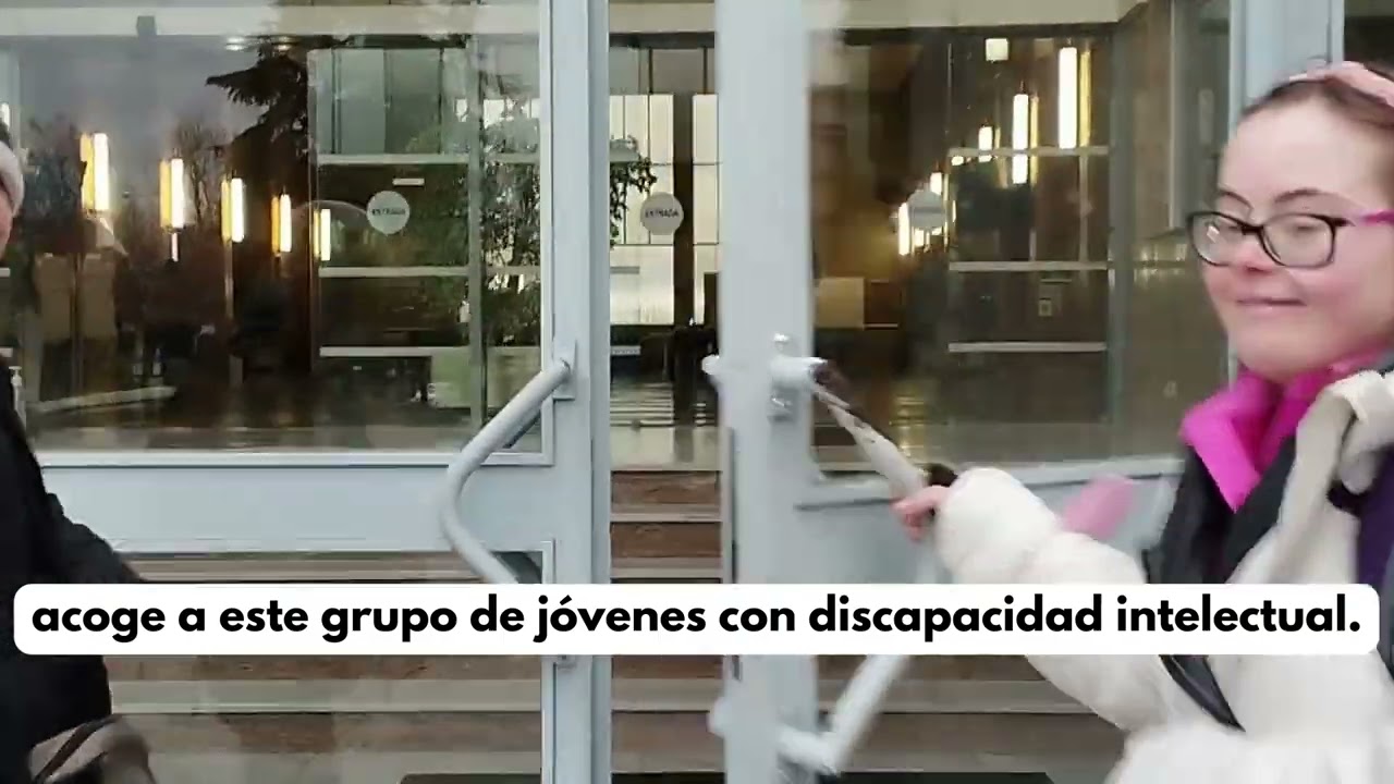 colegios para niños con discapacidad intelectual en madrid
