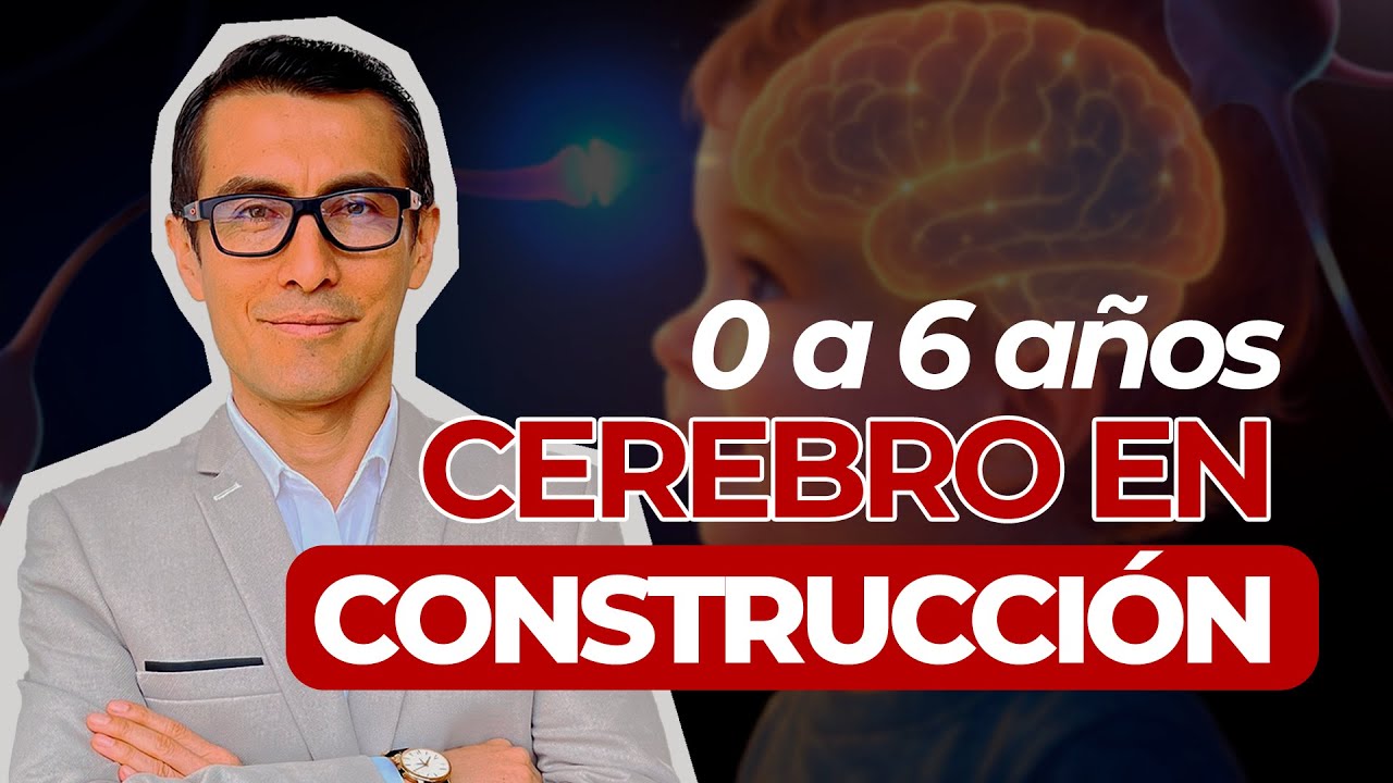 como estimular el cerebro infantil pdf