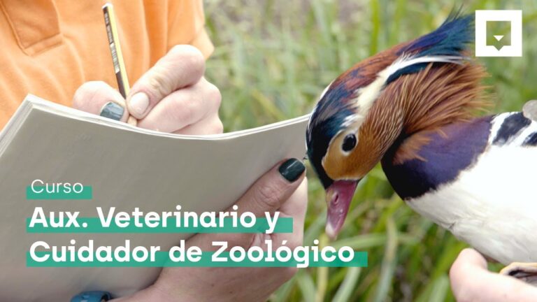 como se llama la persona que cuida a los animales