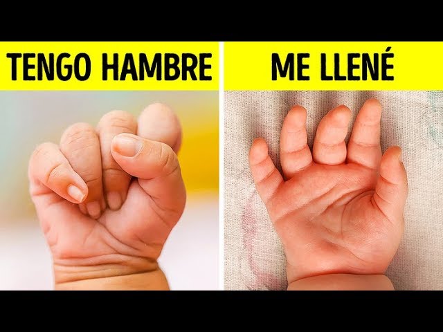 cosas de bebe con el abecedario respuestas