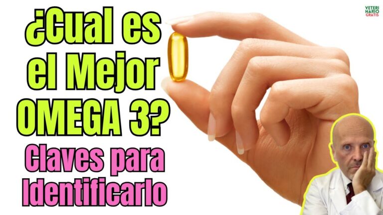 cual es el mejor omega 3 en el mercado