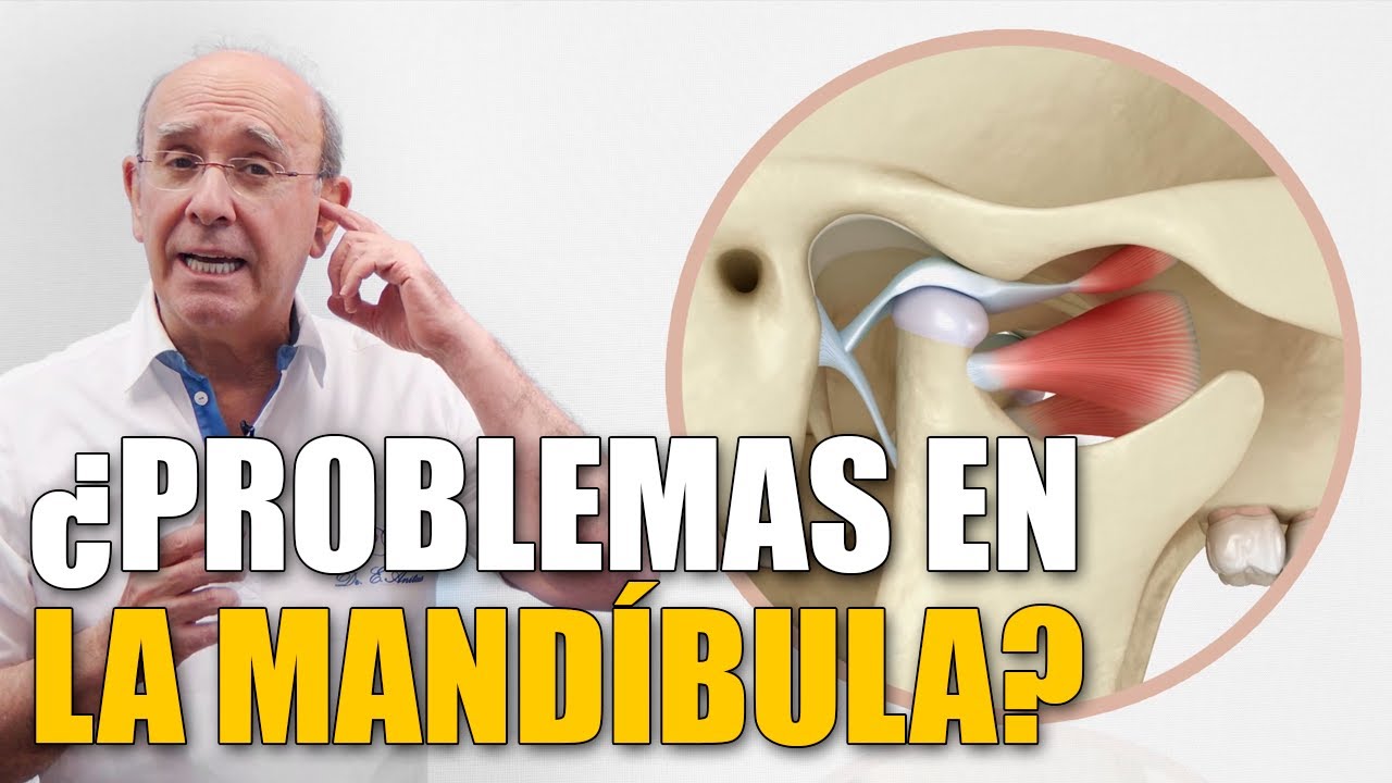 cual es la funcion de la mandibula
