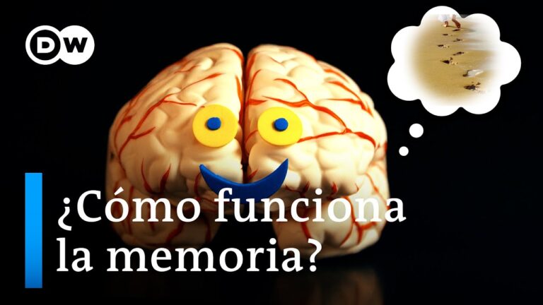 cual es la funcion de la memoria