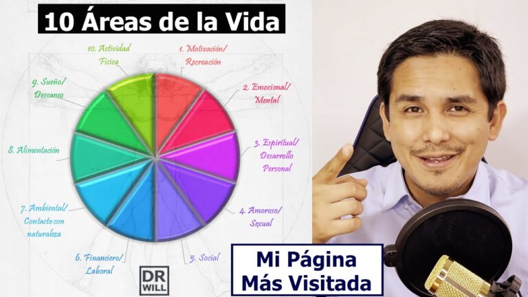 cuáles son las áreas de la vida