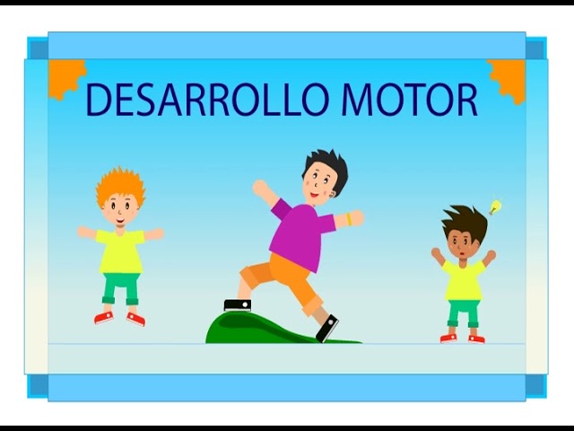 cuales son las fases del desarrollo motor