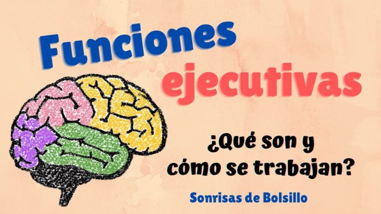cuales son las funciones ejecutivas en neuropsicologia