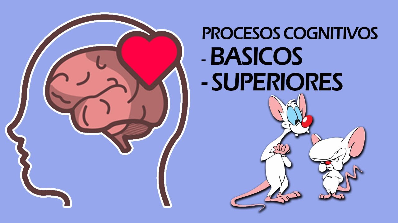 cuales son los procesos cognitivos complejos