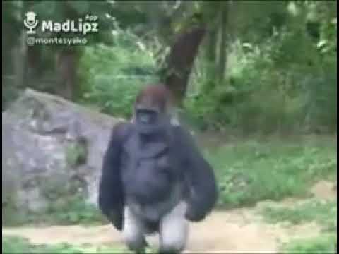cuando crees que nadie te esta viendo