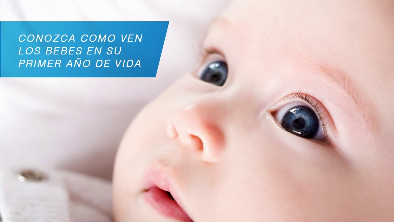 cuando fija la vista un bebe