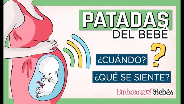 cuando se nota el bebé desde fuera