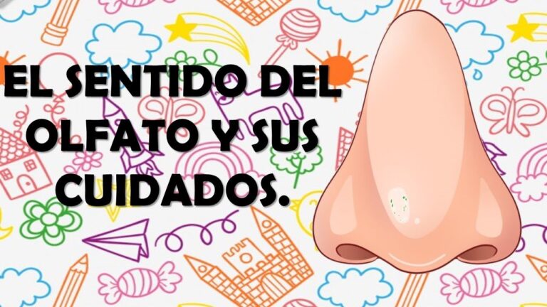cuidados para el sentido del olfato