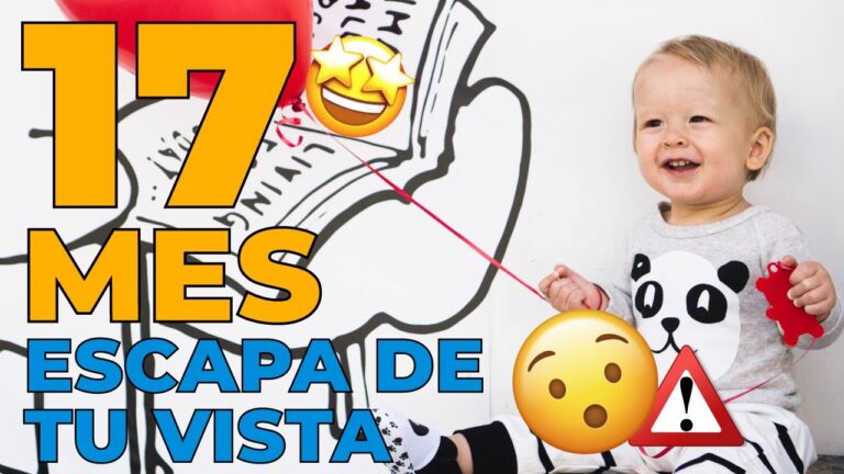 desarrollo de un niño de 17 meses