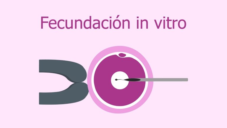 diario de una fecundación in vitro