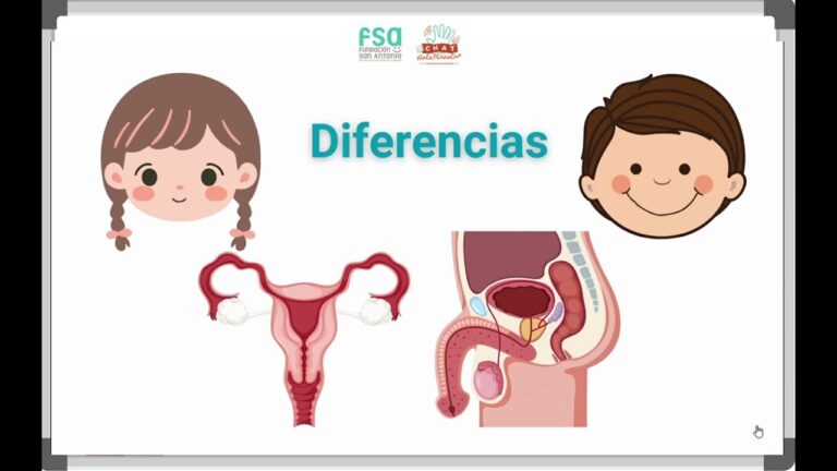 diferencias entre niños y niñas a nivel conductual