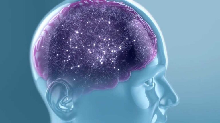 el cerebro de un niño con tdah
