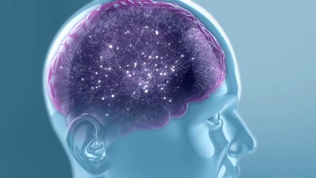el cerebro de un niño con tdah