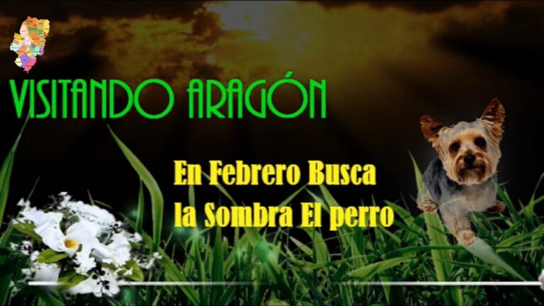 en febrero busca la sombra el perro significado