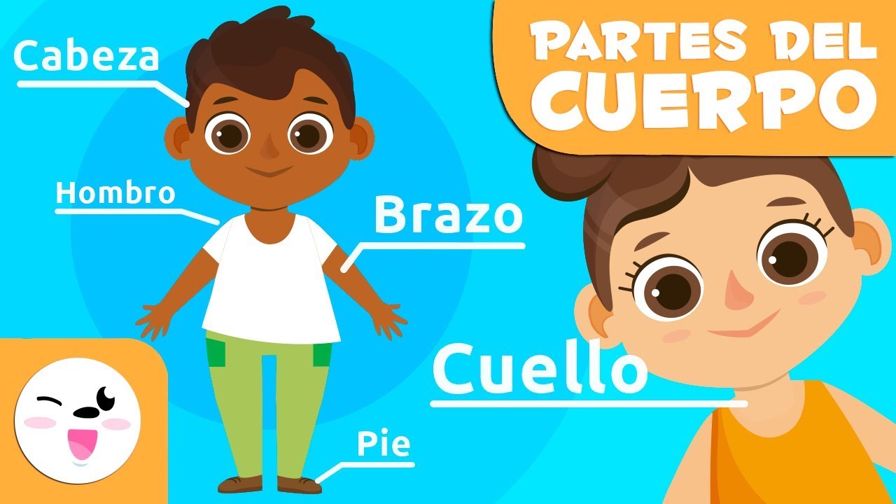 extremidades superiores e inferiores para niños