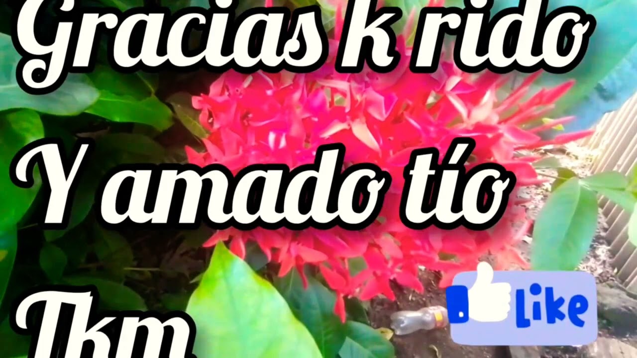 frases de luto para mi tio