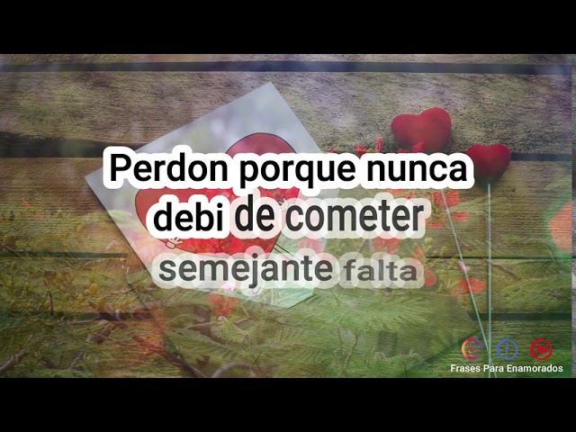 frases para pedir perdon a mi novio por tratarlo mal