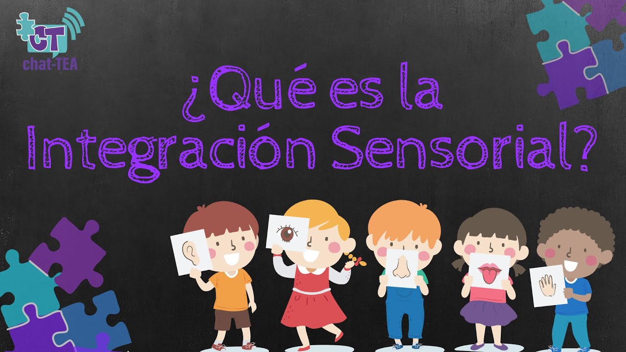 la integración sensorial y el niño pdf