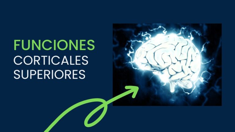 las funciones corticales superiores del hombre pdf