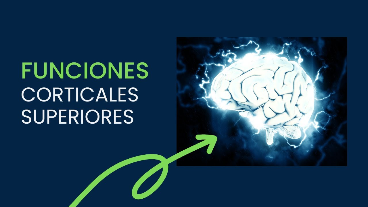 las funciones corticales superiores del hombre pdf