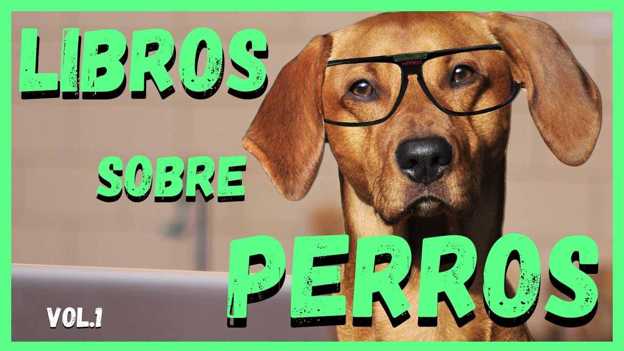 libros para entrenar a tu perro