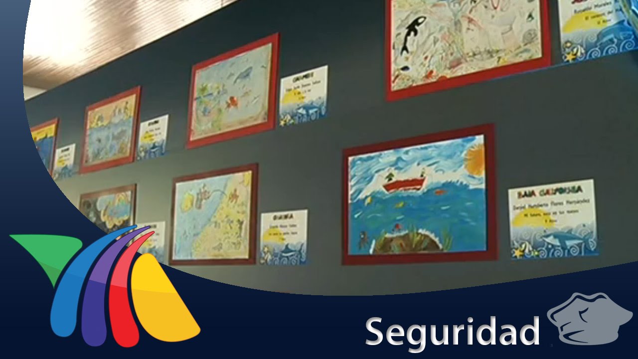 los mejores dibujos del niño y la mar
