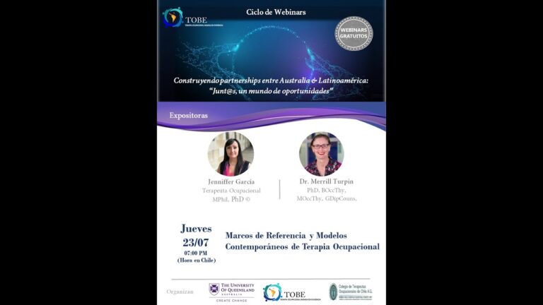 marcos de referencia terapia ocupacional salud mental