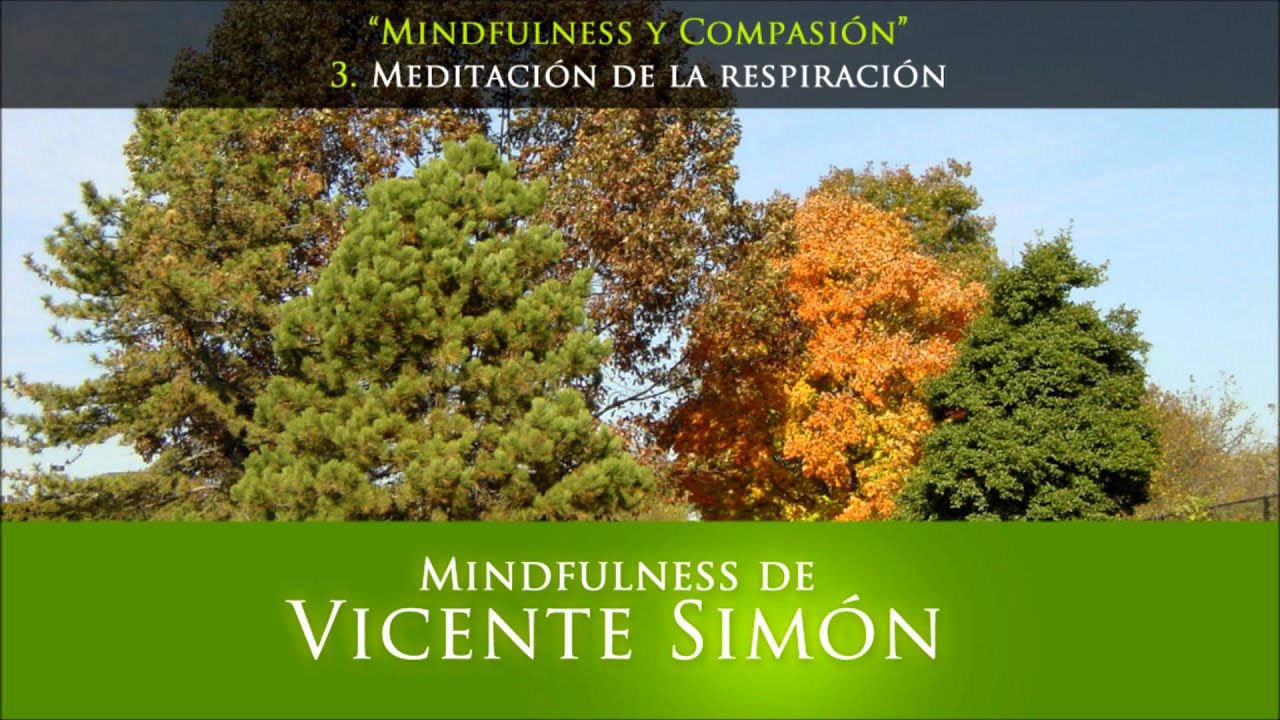 meditacion de la respiracion vicente simon