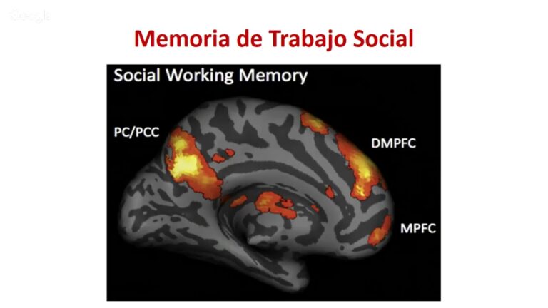 neuropsicología de la cognición social y la autoconciencia