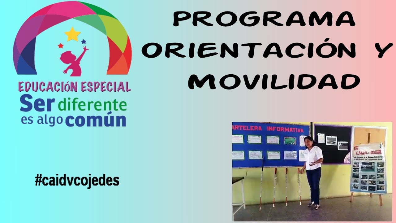 programa de orientación y movilidad pdf