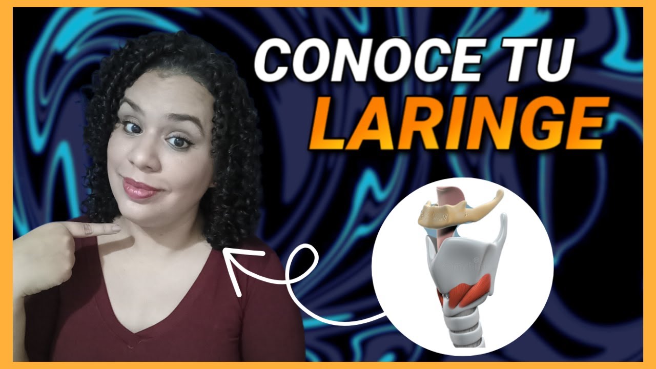 que es laringe y cual es su funcion