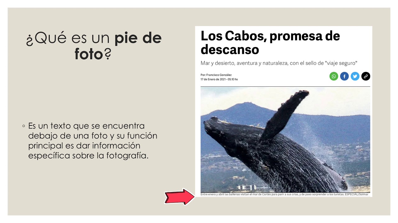 que es un pie de imagen