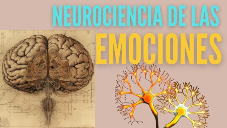 que hemisferio del cerebro controla las emociones