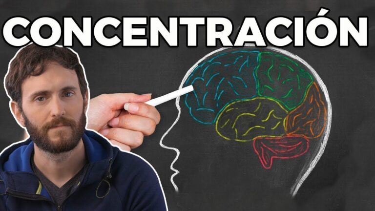que tomar para la concentracion y memoria