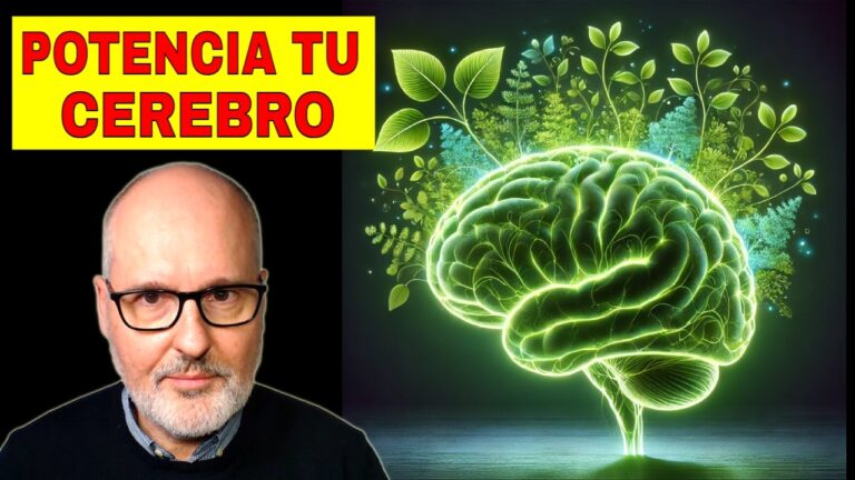 que tomar para la memoria y concentración