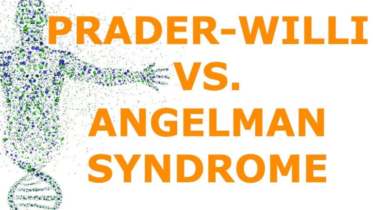 sindrome de prader willi genetica pdf
