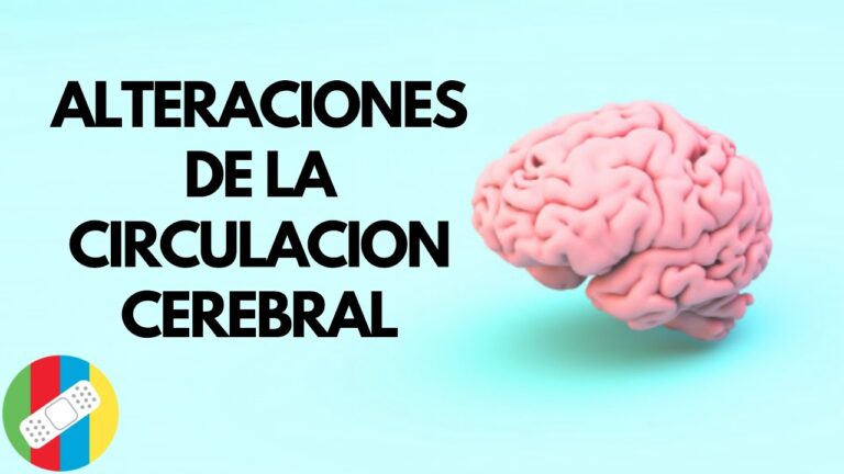 sintomas de la falta de irrigacion de sangre al cerebro